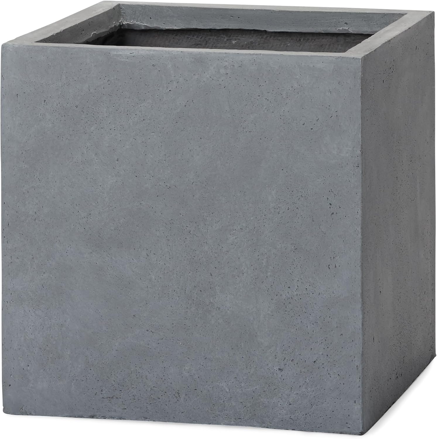 多肉植物 アエオニウム 魅金バラ 20頭以上 超大 美苗 抜き苗 古株 最終